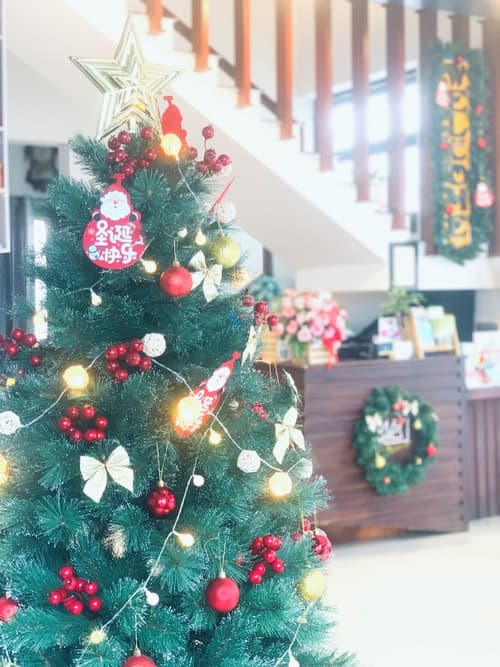 May's House Hoi An Ancient Town Center, Reception