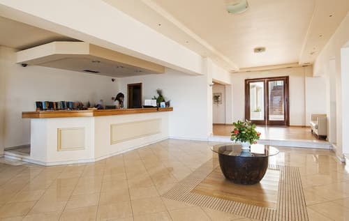 Alonissos Beach Bungalows & Suites Hotel, Reception