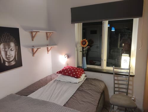 The Pink House, Room