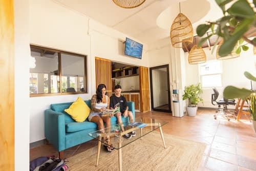 Alma Vida Hotel, Reception