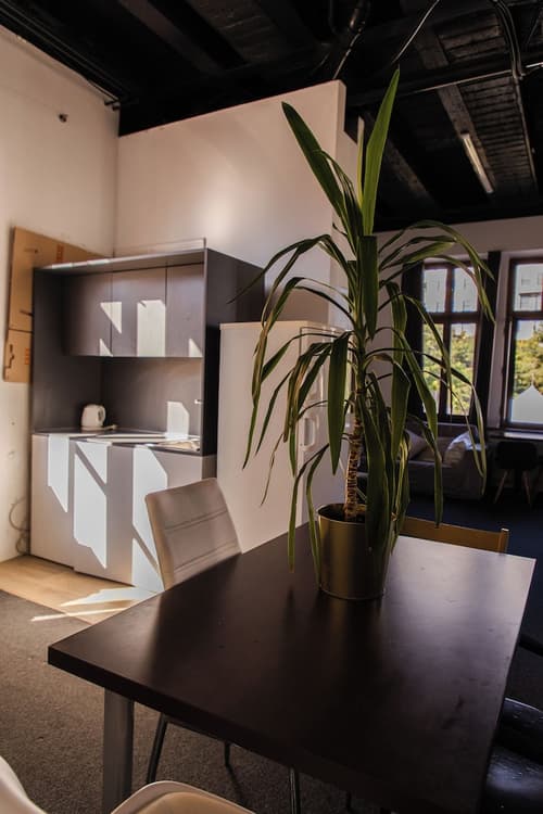 Blue Lotus Apartments, Primary image