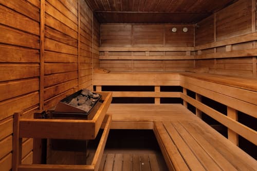 Wellness hotel Jean de Carro, Sauna