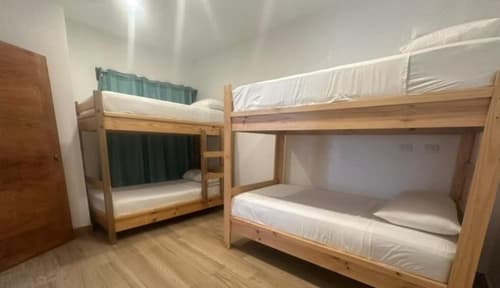 Wide Mouth Frog At Quepos, Room