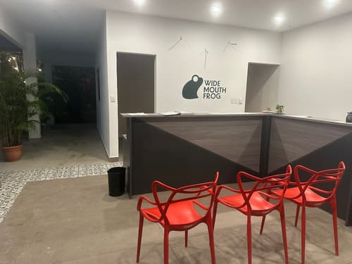 Wide Mouth Frog Hotel, Reception