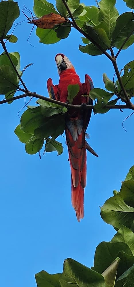 Wide Mouth Frog Hotel, Property grounds