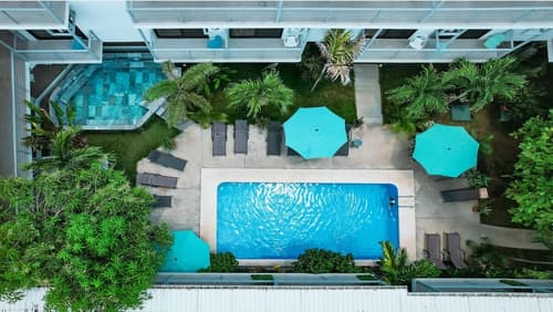 Wide Mouth Frog Hotel, Primary image