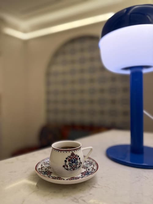 Oasis Inn Budapest, Reception