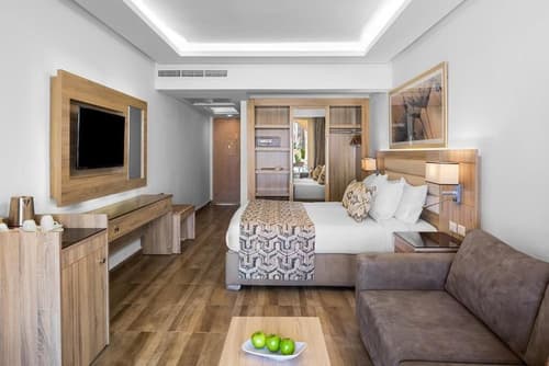 Pickalbatros Palais Des Roses, Room