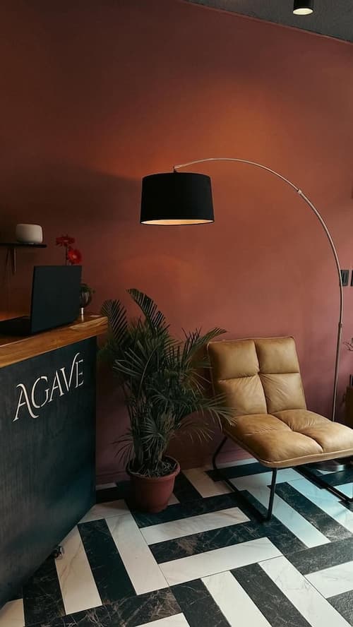 Hotel Agave, Reception