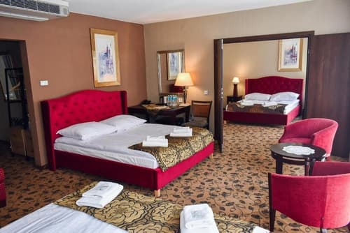 Great Polonia Kraków Kazimierz, Room