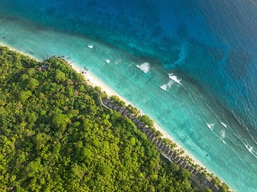 Niva Labriz Seychelles, Primary image