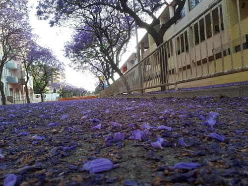 Dream Lagos B&B, Miscellaneous