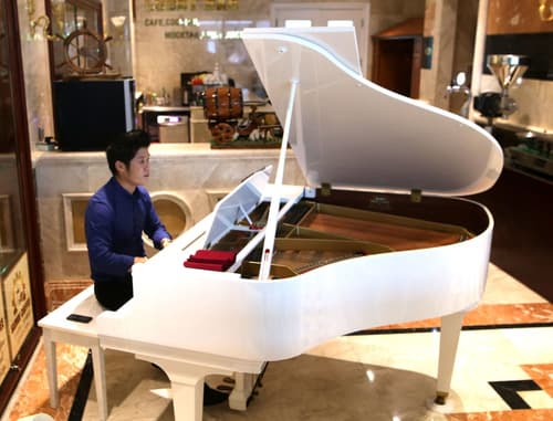 Samdi Da Nang Airport Hotel, Lobby