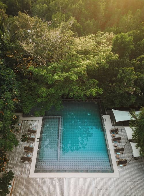 The Funny Lion, Pool