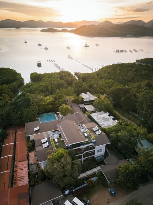 The Funny Lion, Primary image