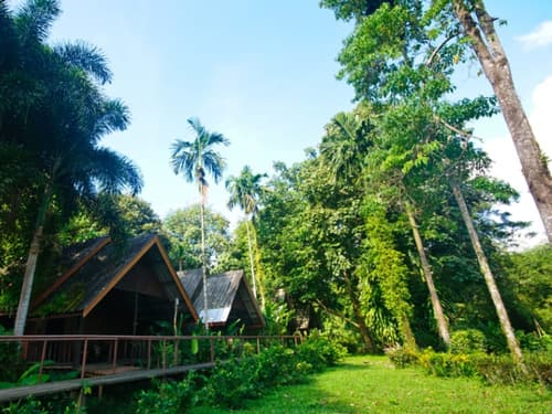 Khao Sok Riverside Cottage, Room
