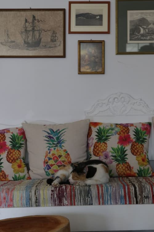 Armadoros Hotel Ios Backpackers, Lobby sitting area