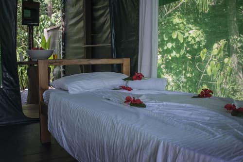 La Leona Eco Lodge, Room