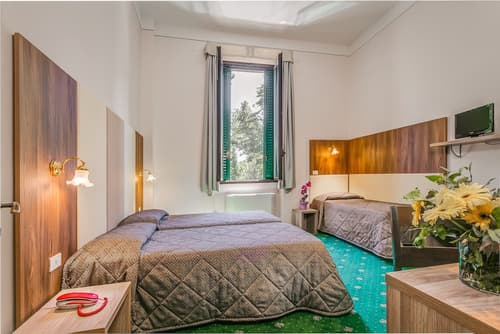 Hotel Arno Bellariva, Room