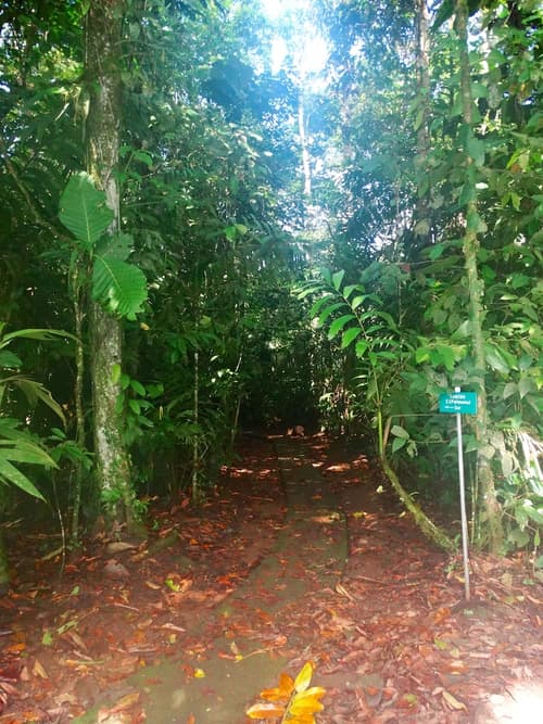 La Selva Biological Station, Property grounds