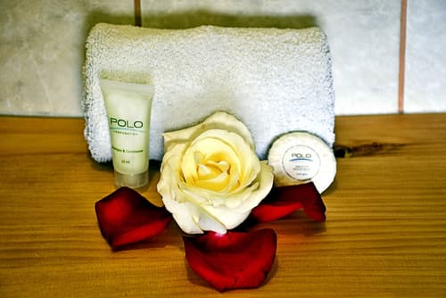 Hotel Polo Corporativo, Bathroom amenities
