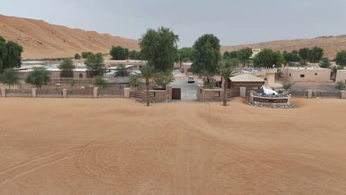 Arabian Oryx Camp, Primary image