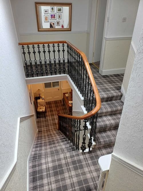 Jacobite Rose, Reception