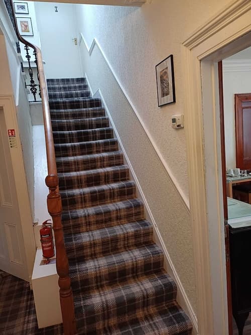 Jacobite Rose, Reception