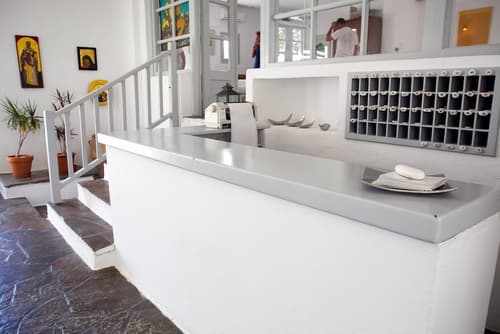 Paros Philoxenia, Reception