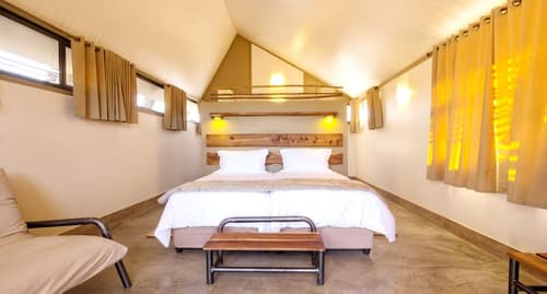 Desert Quiver Camp, Room