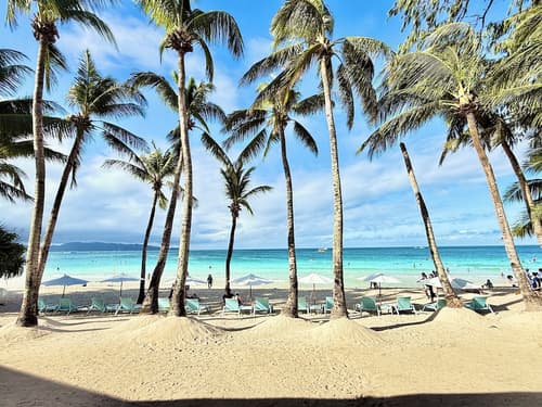 Calypso Beach & Dive Resort, Primary image