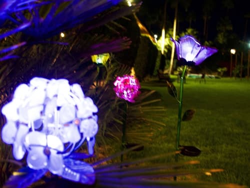 Delos Reyes Palm Springs, Garden