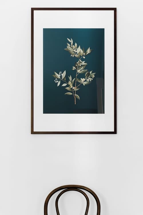 Hotel Challis Potts Point, Reception