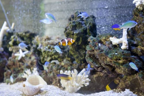 Almont Hotel Naha Kenchomae, Lobby