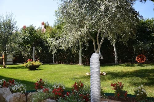 Apartments & Rooms Petra, Garden