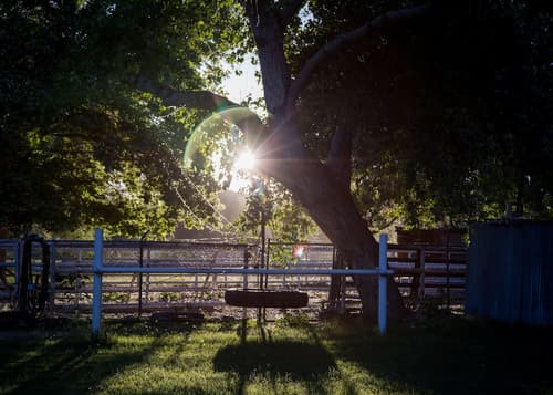 Red Horse Bed and Breakfast, Exercise/lap pool