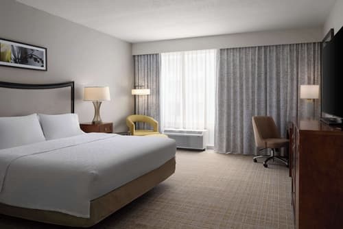 Hampton Inn & Suites Orlando/Downtown South - Medical Center, Room