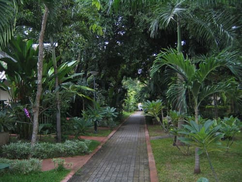Pattaya Garden Resort, Garden