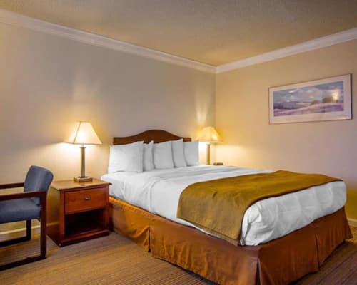 Arbor Inn Monterey, Room