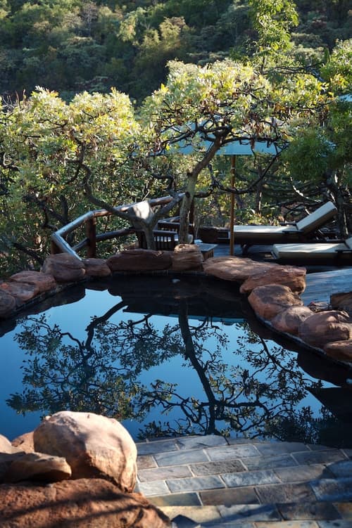 Makweti Safari Lodge, Outdoor pool