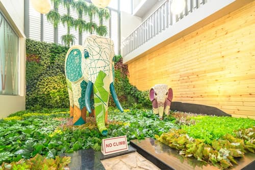 Ramada by Wyndham Phuket Deevana Patong, Lobby