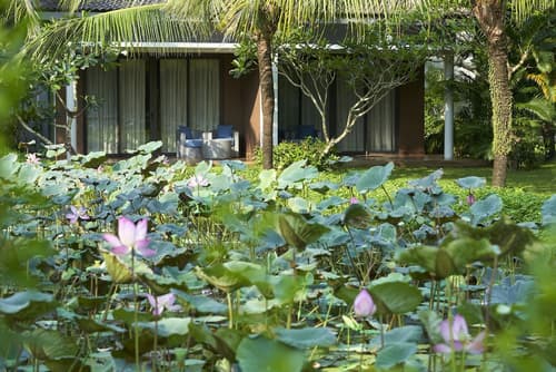 Novotel Phu Quoc Resort, Room