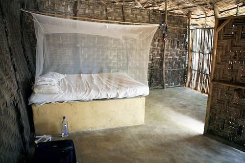 Daltons Banana Guesthouse, Room