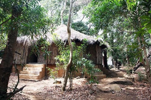 Daltons Banana Guesthouse, Room