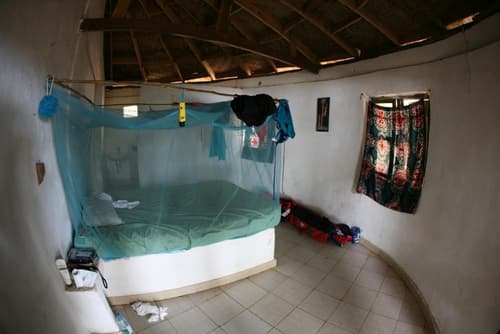 Daltons Banana Guesthouse, Room