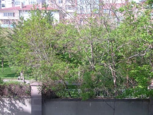 Doga Residence, View from property