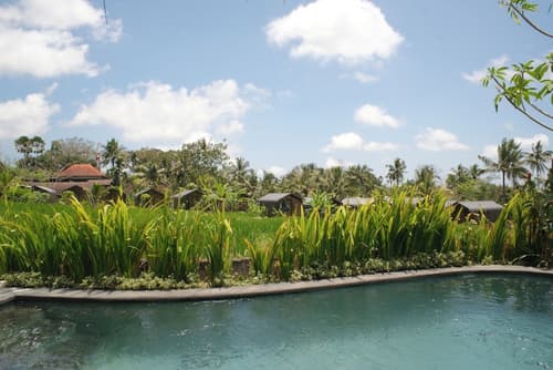 Mesari Hotel Ubud, Room