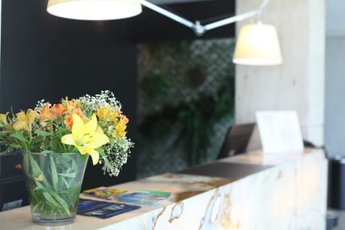 Crocobeach Hotel, Reception