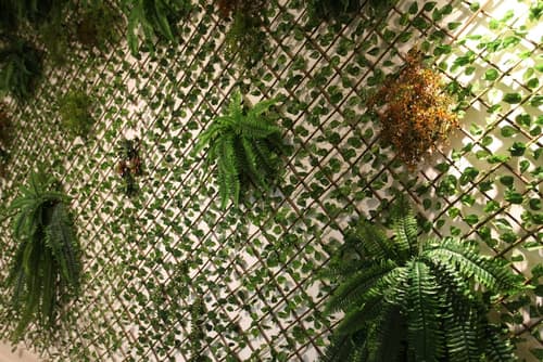 Crocobeach Hotel, Reception