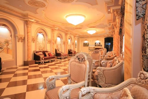 Borjomi Palace, Reception